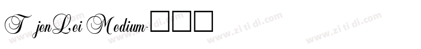 TjenLei Medium字体转换